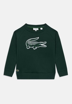 Sudadera verde de algodón. Cuenta con un gran logo de cocodrilo blanco y puños y dobladillo acanalados. Diseño clásico de cuello redondo.