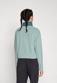 Sudadera de forro polar verde claro con un alto cuello azul marino, diseño corto y mangas largas, que presenta una textura suave y un estilo minimalista.