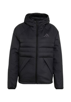 adidas Terrex, TERREX MULTI CLIMAWARM INSULATED HOODED JACKET - Veste d'hiver - black   black