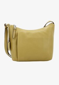 Unausgewählt, cactus