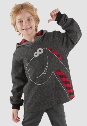 Denokids, BEKLEIDUNG CHECKED DINO XT - Hættetrøje - anthracite cff-s