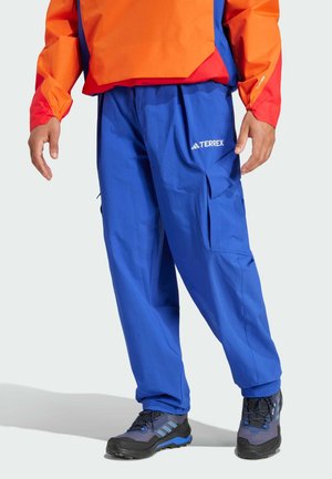 Adidas Terrex Trousers - semi lucid blue