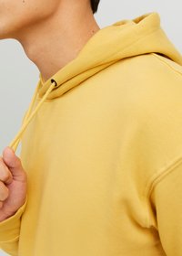 Jack & Jones JJESTAR  NOOS - Sweat à capuche - jojoba