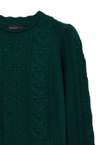 Dunkelgrüner Strickpullover mit strukturierten floralem Zopfmuster und einem kleinen schwarzen Etikett mit der Aufschrift "Calliope S" am Halsauschnitt.