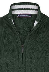 Groene gebreide trui met kabelpatroon, halve ritssluiting en een witte geribbelde kraag met strepen. Het label luidt "FELIX HARDY."