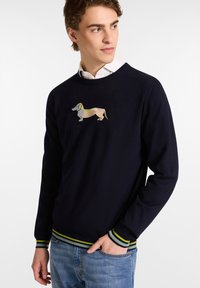 Marineblaues Sweater mit langen Ärmeln, gerippten Bündchen und Saum, der ein buntes Dackel-Graphic auf der Brust und kontrastierende grüne Streifen aufweist.
