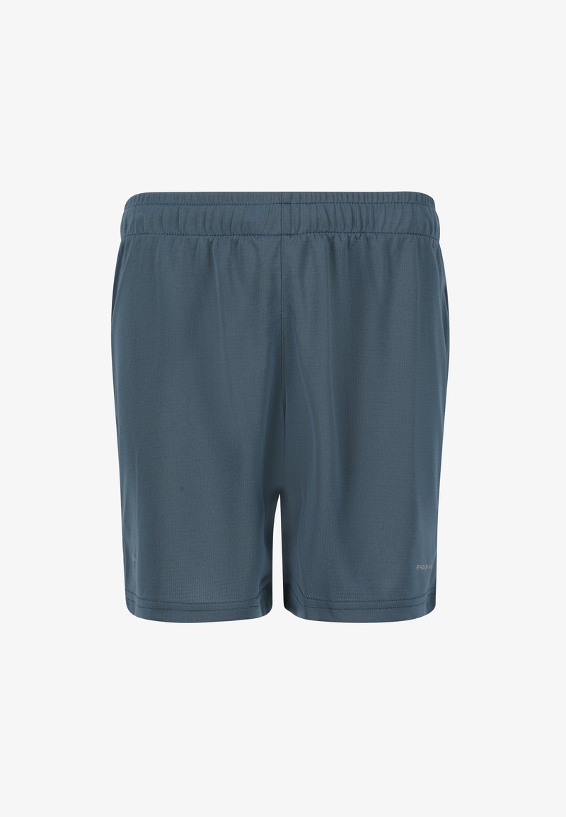 Heren sportshorts, gemaakt van lichtgewicht stof, in een effen leisteenkleur. Bevat een elastische tailleband en gestikte zoom. Geen zakken.