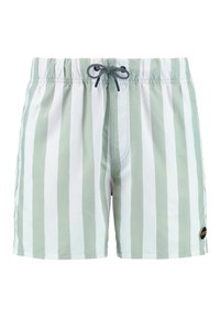 REGULAR FIT BROAD STRIPE - Kupaće hlače - green dust stripe