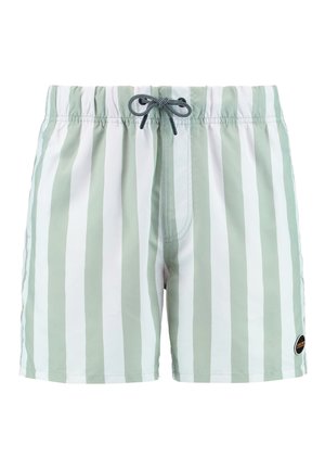 Raidat uimapöksyt vaaleanvihreinä ja valkoisina, joissa on joustava vyötärö, jossa on nyöri, ja pieni musta logo helmoissa.