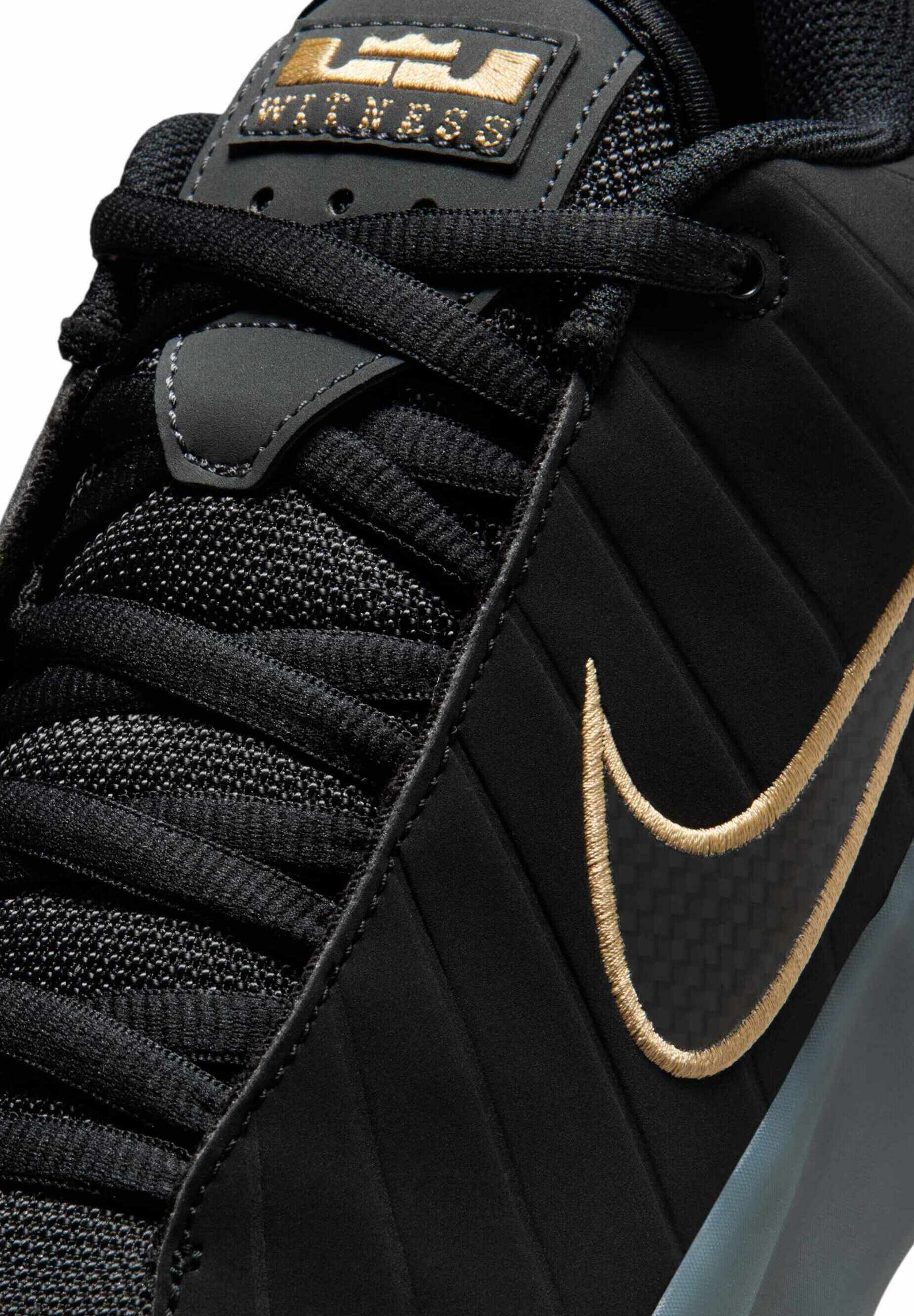 Nike Performance LEBRON WITNESS IX - Zapatillas de baloncesto