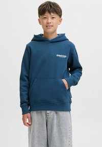 Felpa blu con cappuccio, tasca a marsupio e polsini a coste. Presenta un piccolo logo bianco sul lato sinistro del petto. Tessuto morbido e casual.