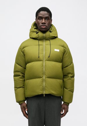 JACKET - Piumino - military green