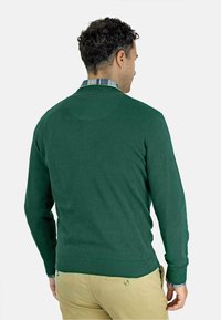 EMBLEMS PICO - Jersey de punto - cesped