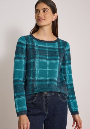Kvinde iført en teal og mørkeblå ternet sweater og mørkeblå jeans, kigger til venstre mod en ensartet lys baggrund.