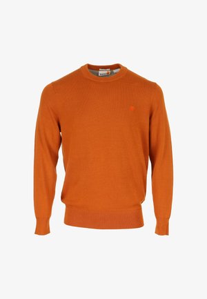 Maglione arancione a girocollo realizzato in tessuto morbido, con maniche lunghe e orlo a coste. Piccolo logo di colore contrastante sul petto.