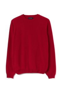 Roter Rundhalsausschnitt-Pullover aus weichem Material. Verfügt über lange Ärmel sowie gerippte Bündchen und Saum. Einfaches Design ohne zusätzliche Muster oder Akzente.