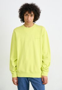 Limegrøn sweatshirt i en afslappet pasform med lange ærmer og ribbede manchetter. Har et diskret logo på brystet. Sammen med blå jeans.