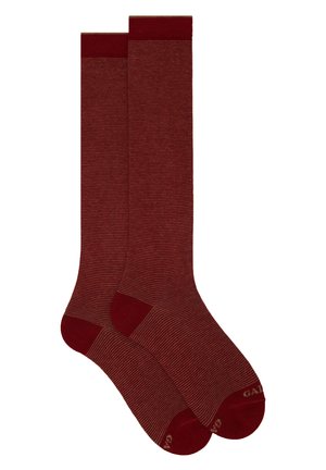 WITH TWO TONE STRIPES - Knee high socks - amaranto noce