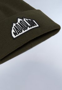 Berretto a maglia verde scuro con risvolto, caratterizzato da un distintivo patch bianco e nero che rappresenta picchi di montagna e il nome del marchio.