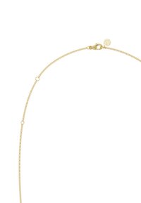 Collar de cadena de oro con un diseño delicado de eslabones, cierre de broche y una pequeña placa con el logo, con un acabado liso y brillante.