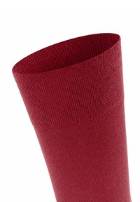 FALKE Sensitive New York - Calze - scarlet
