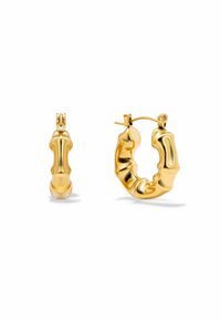 SPLENDID HOOPS - Fülbevalók - gold-coloured