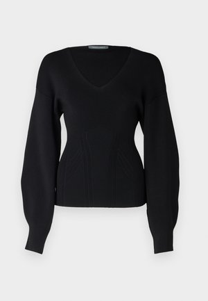 Alberta Ferretti SWEATER - Striktrøje - black