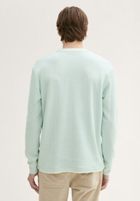 Hellmintgrünes Langarmshirt aus geripptem Material, mit Rundhalsausschnitt und eng anliegenden Bündchen, von hinten betrachtet. Minimalistisches Design.