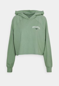 Zelená zkrácená mikina s kapucí vyrobená z měkkého materiálu. Obsahuje klokanku, dlouhé rukávy a logo "HOLLISTER" s grafikou ptáka.