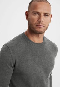 Grauer Rundhals-Pullover aus glattem, weichem Stoff. Besitzt eine normale Passform und ein minimalistisches Design ohne sichtbare Muster oder Akzente.