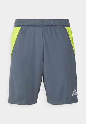 Grijze sportshorts met neon groene zijpanelen, elastische tailleband en een klein zilveren logo aan de onderzijde rechts. Soepele stofstructuur.