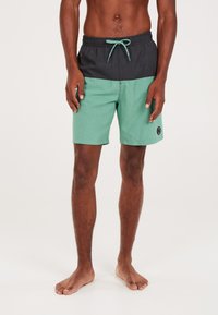 Protest PRTHELI - Shorts da mare - frosty green