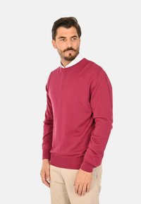 Maglione in pile bordeaux, con collo girocollo, maniche lunghe, orlo e polsini a costine, indossato sopra una camicia bianca con colletto, caratterizzato da una texture liscia.