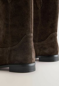 Bottines en suède marron avec une texture lisse, un bout arrondi et un petit talon en caoutchouc noir. Couture visible et détails de design subtils.