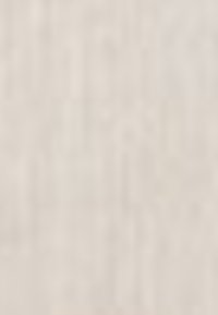 Terranova Camicetta - fango