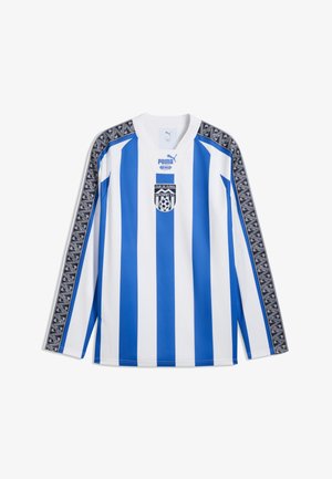 Koszulka piłkarska z długim rękawem w niebiesko-białe pionowe paski, czarne paski z wzorem na rękawach, logo Puma i herb Monterrey AC na piersi.