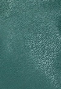 DrachenLeder CITY TOSCANTO - Rugzak - grün