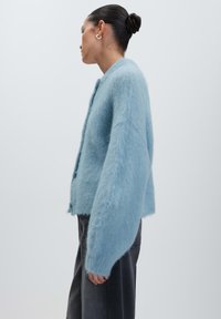 Donna con i capelli raccolti in un bun indossa un cardigan peloso azzurro chiaro con maniche lunghe e pantaloni scuri, in piedi davanti a uno sfondo leggero e semplice.