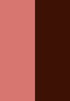 coral / dark brick