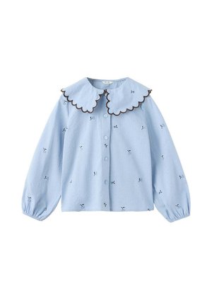 Blouse bleu clair à manches longues avec un col large festonné bordé de finition foncée et petits motifs floraux brodés foncés, boutonnée devant.