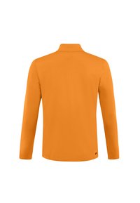 Ilga rankovė oranžinė megztinis su aukštu apykakle rodomas iš nugaros, paprastas dizainas su minimaliai matomomis siūlėmis.