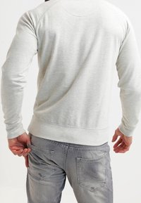 Petrol Industries Felpa - light grey