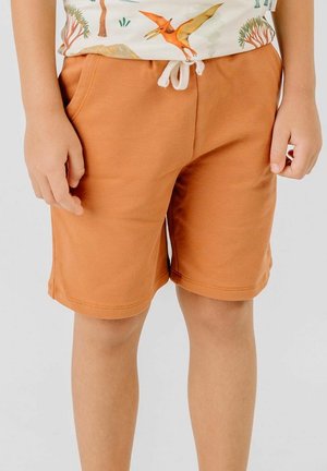 Kind trägt kniehohe Shorts in Rostfarbe mit Fronttaschen und weißem Kordelzug, kombiniert mit einem Shirt mit Dinosauriermotiv.