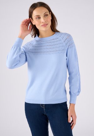 Pull en maille bleu clair présentant un motif texturé ressemblant à de la dentelle sur les épaules et des manches bouffantes. Encolure ronde classique et ourlet côtelé.