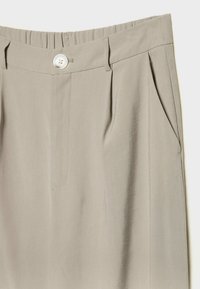 Jasnoszare spodnie wykonane z gładkiego materiału, z zapięciem na guzik, plisami i bocznymi kieszeniami, o dopasowanym kroju zapewniającym elegancki wygląd.