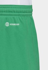 Groene sportshorts gemaakt van ademend materiaal. Voorzien van een elastische tailleband en het "AEROREADY"-logo in het wit op de voorkant. Soepele textuur.
