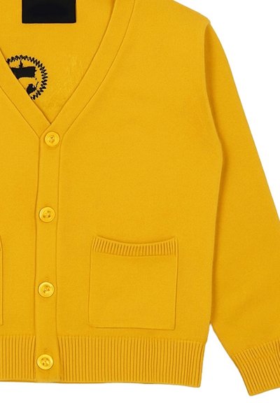 Cardigan giallo con scollatura a V, dotato di cinque bottoni, polsini a coste e due tasche frontali. Texture morbida, materiale leggero.