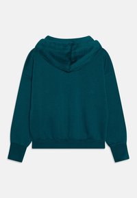 Niebieskozielona krótka bluza z długimi rękawami, prążkowanymi mankietami i teksturowanym kapturem, wyeksponowana na płasko z tyłu na białym tle.