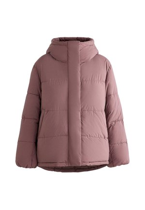 Gepolsterte Jacke in Mauve mit Kapuze, mit gesteppten Abschnitten, einem Reißverschluss vorne und elastischen Bündchen. Glatte Textur und gerader Schnitt.