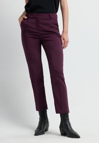 Chino - plum
